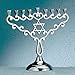 Elegant Aluminum Menorah