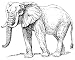 6 inch x 4 inch Greeting Card Line Drawing African Elephant