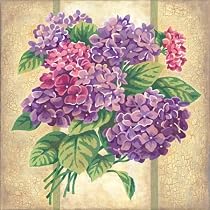 Paint By Number 14''X14''-Hydrangea Cuttings