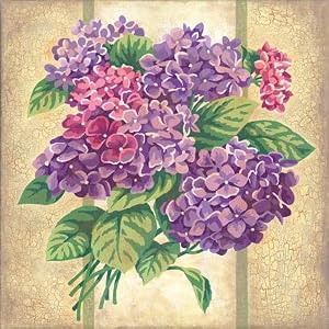 14 x 14 Hydrangea Cuttings Canvas Classics DMS91297