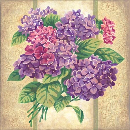 Paint By Number 14''X14''-Hydrangea Cuttings