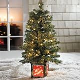 BrylaneHome Cordless 4' Tree With Urn