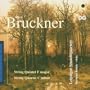 Bruckner: String Quintet F major/String Quartet C minor
