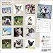 Siamese Cats 2015 Wall Calendar