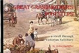 Great-Grandmother's footsteps : a stroll through Victorian Salisbury by John Chandler