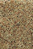 Urban Loft Shag Area Rug, 910"x127", GREEN BEIGE MIX