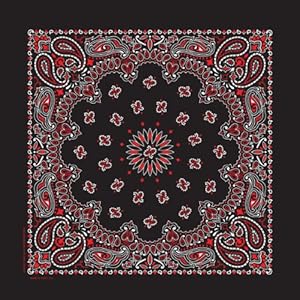 Carolina Hav A Hank Paisley Bandanna 22-Inch by 22-Inch Black Red White