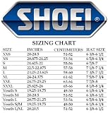 Shoei X-Eleven/RF-1000/TZ-R/Multitec Shield With Tear Off Posts Dark Smoke