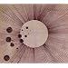 The Best Records of 2010: Aural Ecstasy