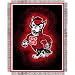 North Carolina State Wolfpack Triple Woven Jacquard NCAA Throw (019 Focus) by Northwe...