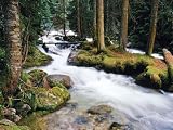 Wallpaper Blonder the Ultimate Mural Book Boreal Waterfall UMB91009