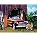 Surf Animal 500pc Jigsaw Puzzle by Scott Westmoreland