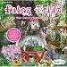 Fairy Triad Dome Terrarium
