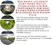 Book The Down and Dirty Earn More Money, Inner Game and Biz Networking for LED Flashlights Internet Businesses 3 CD Power Pack
