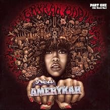 New Amerykah, Pt. 1: 4th World War (Lyrics included with album, Enhanced CD-ROM)