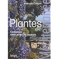 Plantes de M�diterran�e : Composez votre jardin de couleurs