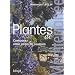 Plantes de M�diterran�e : Composez votre jardin de couleurs