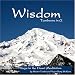 Wisdom - Tamboura in G