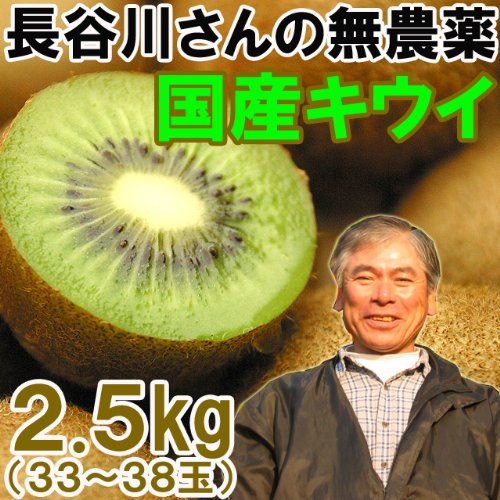 【送料無料２１８０円】安心安全☆長谷川さんの無農薬国産キウイ２．５kg（約33～38個入）（北海道・沖縄・離島は送料630円）fr