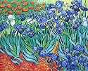 Irises Van gogh Oil Painting on Canvas Hand Made Replica Finest Quality 36in X 48in