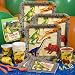 Dinosaur Basic Party Pack