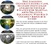 Search : The Insider's Generate Extra Cash, Sucess Principles and Accounting & Finance for Martial Arts Training Equipment Web Biz 3 Course + Resource Guide