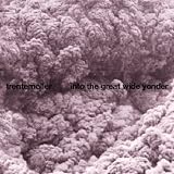Into The Great Wide Yonderpar Trentemoller