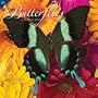 Butterflies 2010 Wall Calendar