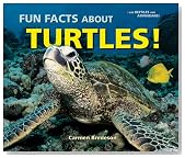 Fun Facts About Turtles! (I Like Reptiles and Amphibians!)