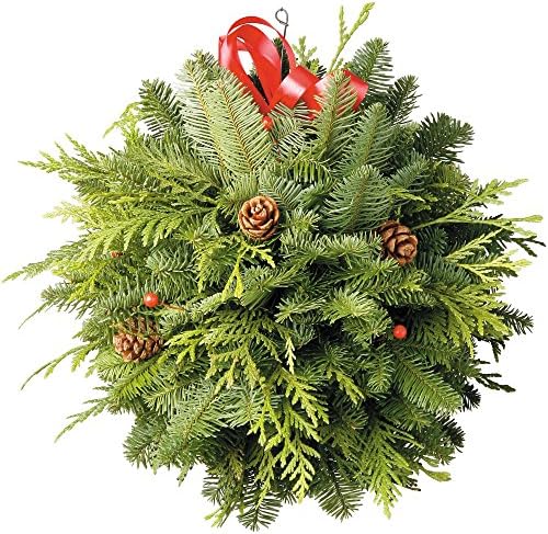 Northwest Wreaths: Fresh Live Evergreen Products. 8" Kissing Ball. Fresh Greens Delivered To Your Doorstep! Made In The USA! (8" Kissing Ball)