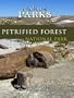 Nature Parks PETRIFIED FOREST Arizona
