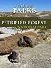Nature Parks PETRIFIED FOREST Arizona