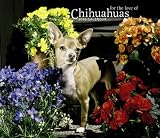 HyperLink