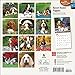 Basset Hound Puppies 2015 Small Wall Calendar