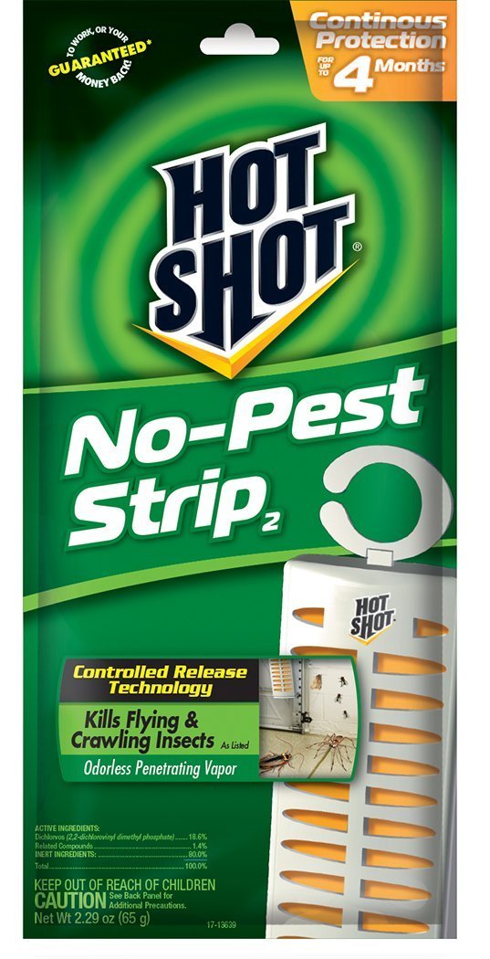 Amazon.com : ProZap Insect Guard : Insect Repelling Products : Pet ...