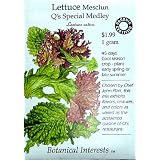LettuceQ'sSpecialMedleyCertifiedOrganicSeeds1000Seeds
