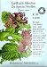 Lettuce Q\'s Special Medley Certified Organic Seeds 1000 Seeds