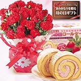 【送料無料！母の日ギフト】赤カーネーション5号鉢と苺ロールケーキセット【お届5/7-5/12】