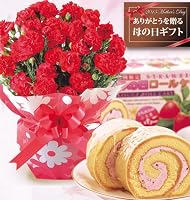 【送料無料！母の日ギフト】赤カーネーション5号鉢と苺ロールケーキセット【お届5/7-5/12】