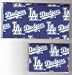 Checkbook Cover Debit Set Made with MLB LA Dodgers Fabric