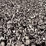 Listen Without Prejudice