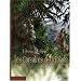 Les corsaires d'Alcibiade, Tome 2 : Le rival