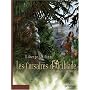 Les corsaires d'Alcibiade, Tome 2 : Le rival de Denis-Pierre Filippi