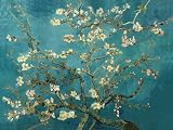 Almond Branches in Bloom By Vincent Van Gogh 12x16