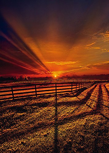 SCHMIDT Evening Stillness Puzzle (1000-Piece)