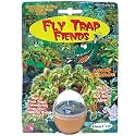 Fly Trap Fiends with Mirco Terrarium