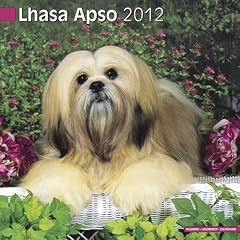 Lhasa Apso Wandkalender 2012 [Kalender]