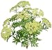 20" Elegant Life-like Queen Ann Lace Bridal Wedding Silk Bush Moss 57