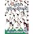 �ʃj���[�^�E��2 [DVD]