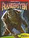 Search : Frankenstein (Graphic Horror)